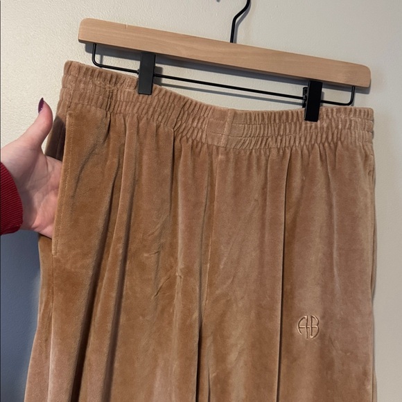 Anine Bing Sport Evan Velour Jogger - Picture 4 of 6